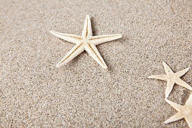 《赛博朋克2077》V2.01版即将上线 修复性能问题等